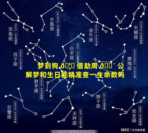 梦到狗 🦉 借助周 🌴 公解梦和生日能精准查一生命数吗